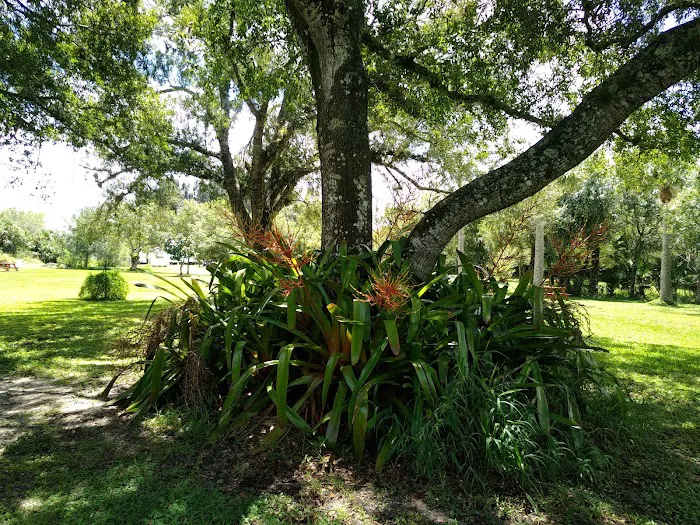 Sunnier Palms Nudist Park and Campground Picture 4