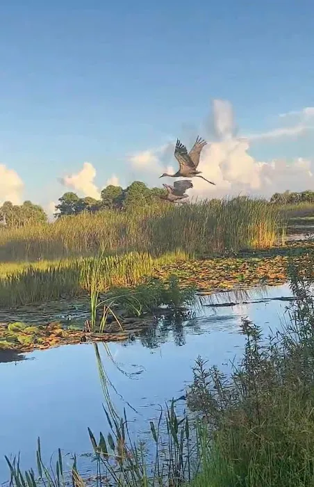 Savannas Recreation Area Picture 9