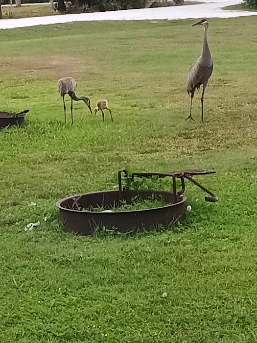 Savannas Recreation Area Picture 1