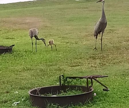 Savannas Recreation Area