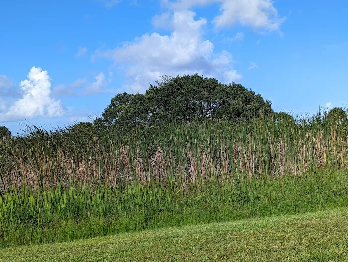 Savannas Recreation Area Picture 10