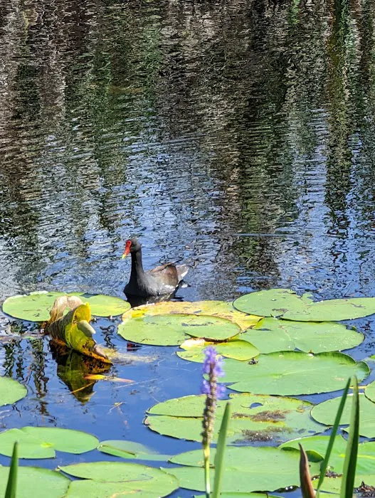 Savannas Recreation Area Picture 5