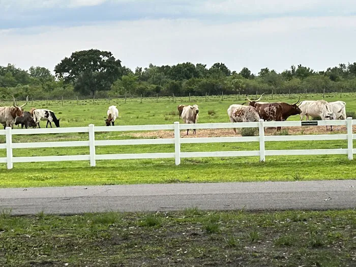 River Ranch RV Resort Picture 2