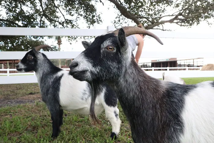 River Ranch RV Resort Picture 10