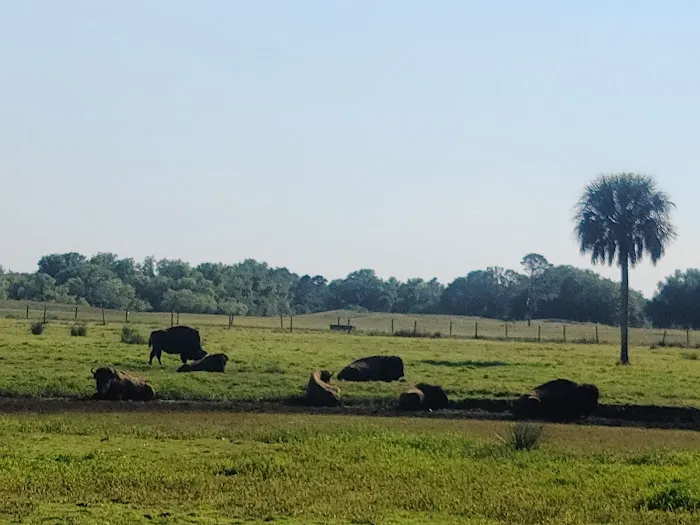 River Ranch RV Resort Picture 7