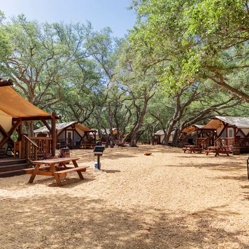 Glamping Florida, by River Ranch Picture 9