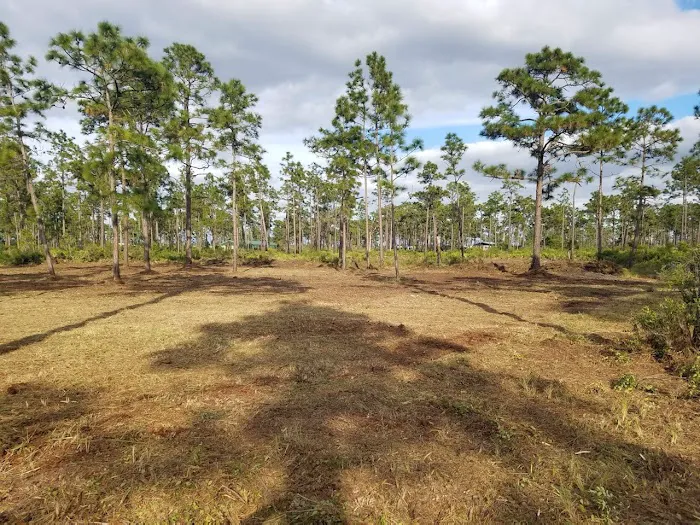 Camp Busch Latte Picture 2