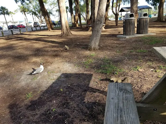 Camp Busch Latte Picture 1