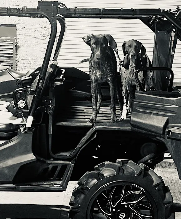 Camp CarPuto Picture 3