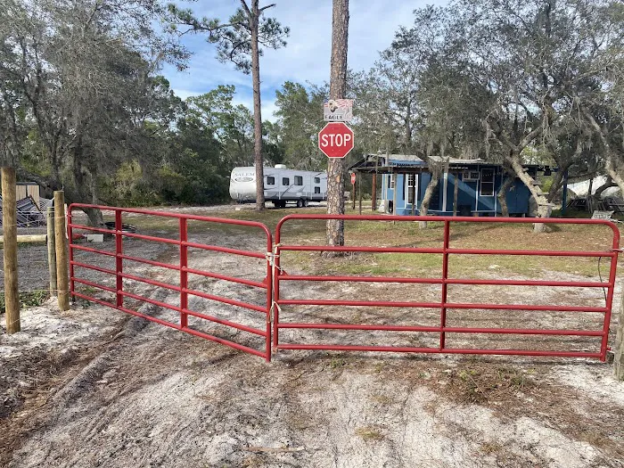 Camp Flying Eagle Picture 4