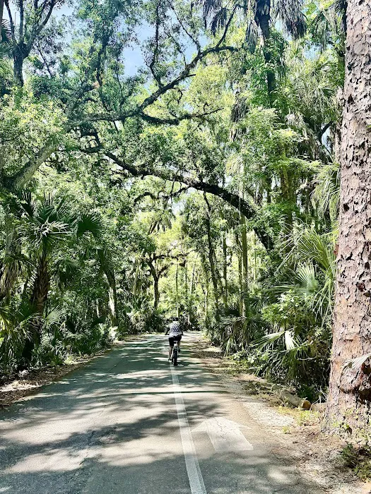 Highlands Hammock State Park Campground Picture 4