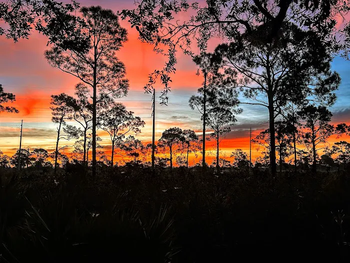 Highlands Hammock State Park Campground Picture 6