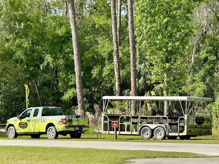Highlands Hammock State Park Campground Picture 3