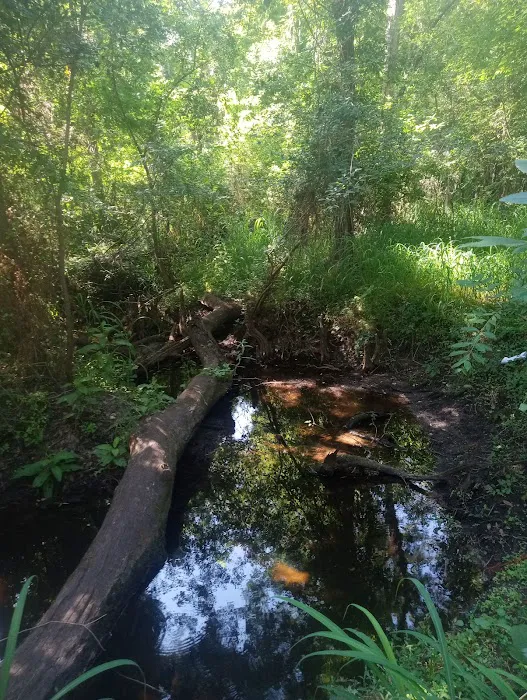 Brownville campground Picture 10