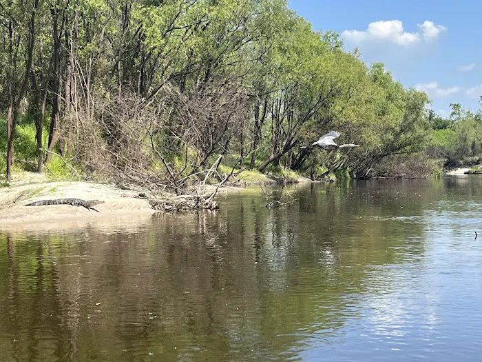 Brownville campground Picture 3