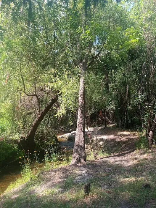 Brownville campground Picture 4