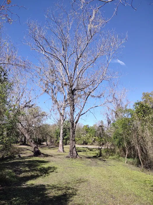 Brownville campground Picture 9