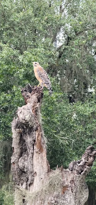 Arcadia Peace River Campground Picture 4