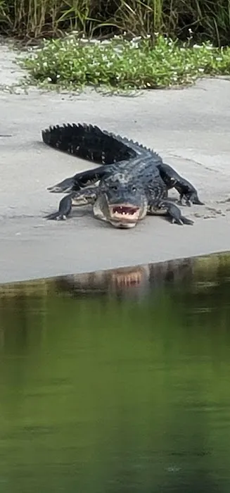 Arcadia Peace River Campground Picture 3