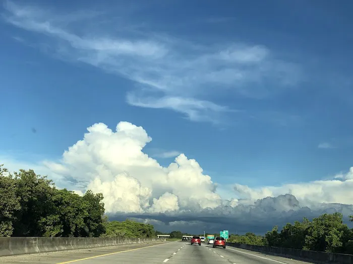 Encore Winter Quarters Manatee Picture 1