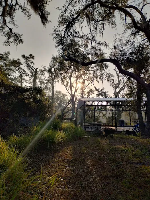 Dream Lake Farm Camp Picture 6