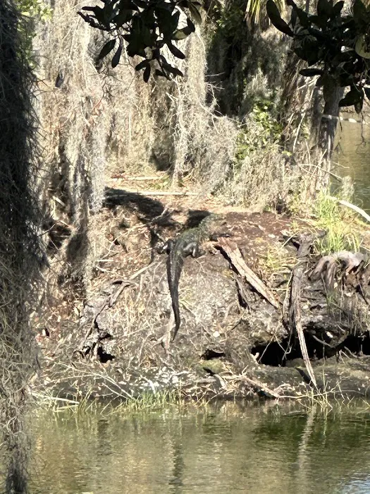 Dream Lake Farm Camp Picture 9