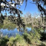 Dream Lake Farm Camp
