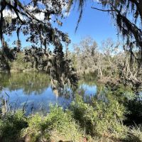 Dream Lake Farm Camp ico