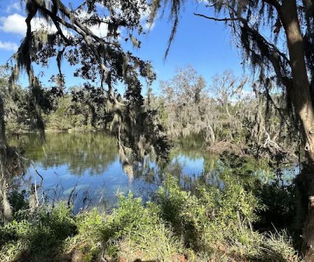 Dream Lake Farm Camp