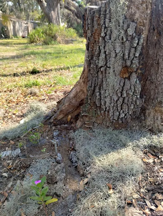 Dream Lake Farm Camp Picture 8