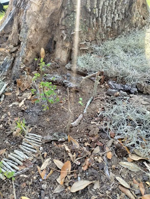 Dream Lake Farm Camp Picture 7