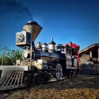 Bradenton / Hunsader Farms KOA Holiday ico