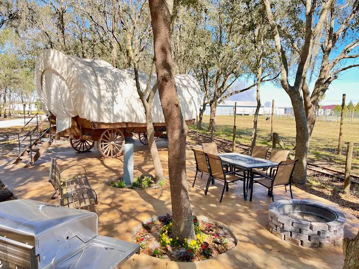 Bradenton / Hunsader Farms KOA Holiday Picture 5