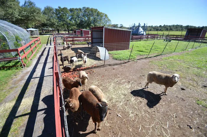 Bradenton / Hunsader Farms KOA Holiday Picture 7