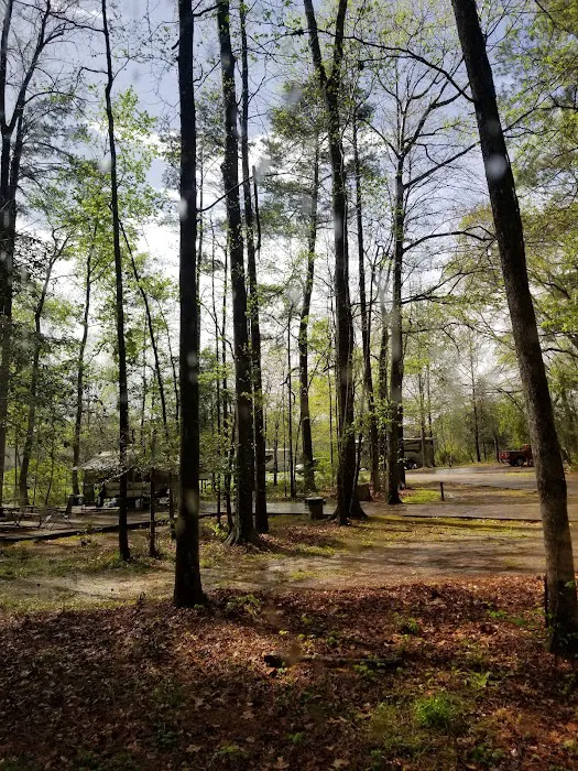 Isaac Creek Campground Picture 1