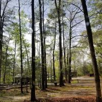 Isaac Creek Campground ico