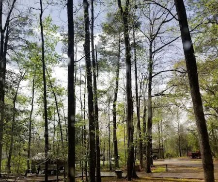 Isaac Creek Campground