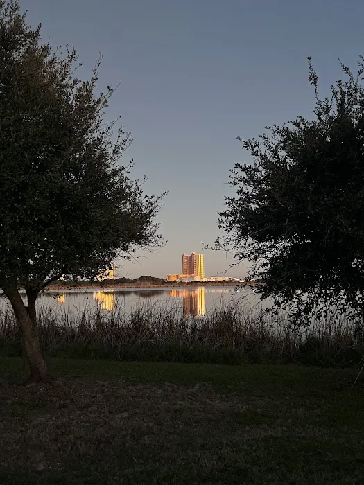 Gulf State Park Campground Picture 8