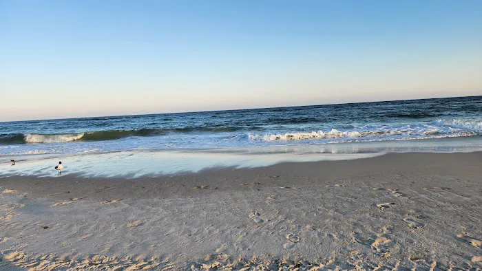 Gulf State Park Campground Picture 1