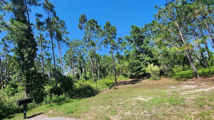 Gulf State Park Campground Picture 5