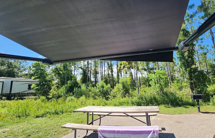 Gulf State Park Campground Picture 7