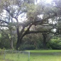 Nolte RV Park And Campground ico