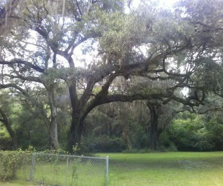 Nolte RV Park And Campground