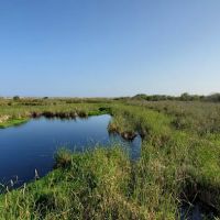 Gulf State Park Campground ico