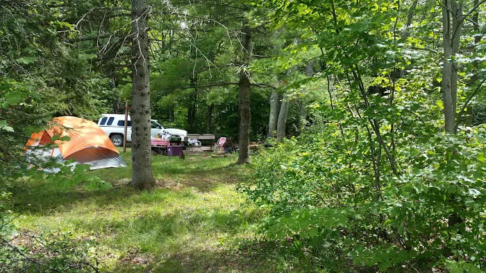 Bob Lake Campground Picture 6