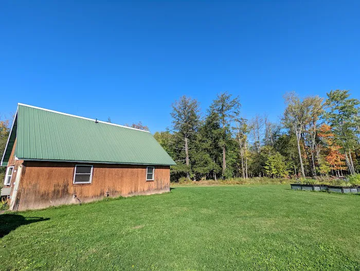 Silver Mountain Cabins Picture 3