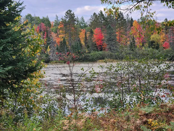 Paulding Pond Campground and Picnic Area Picture 5