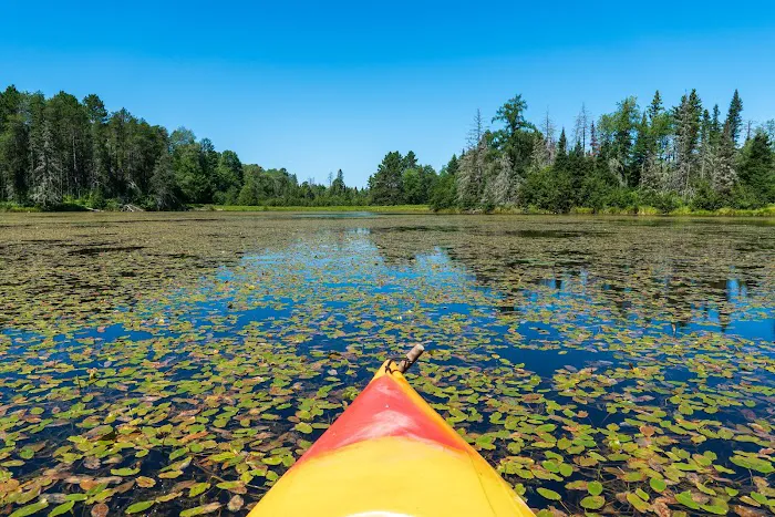 Paulding Pond Campground and Picnic Area Picture 2