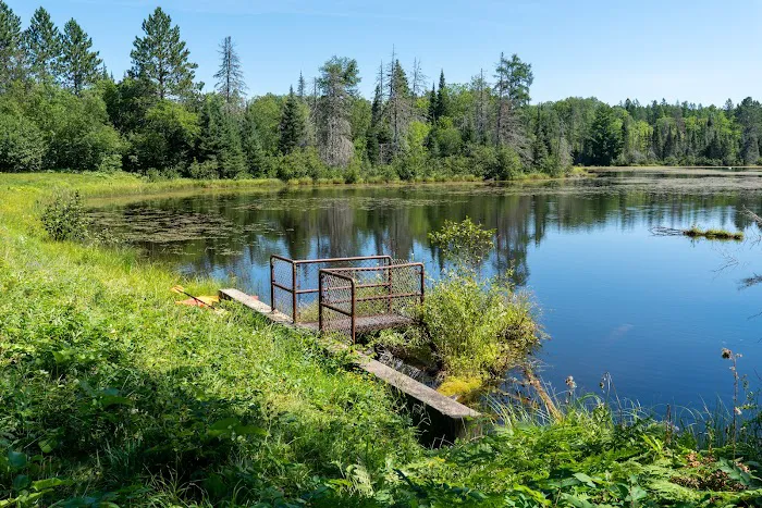 Paulding Pond Campground and Picnic Area Picture 1