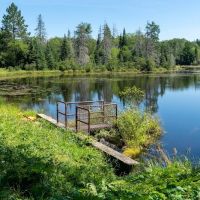 Paulding Pond Campground and Picnic Area ico